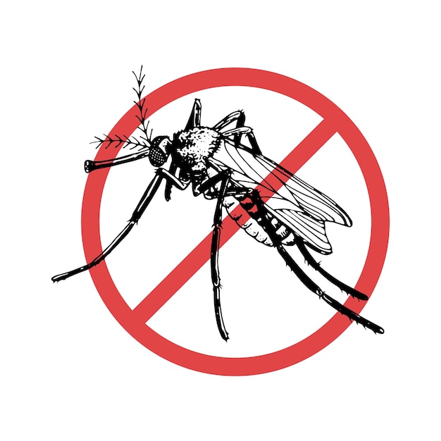 Plik wektorowy ikona nie szkic wektor komara latający owad ręcznie rysowane vintage czarno-biały ilustracja ćma pijąca krew irytujące skrzydlaty owad ochrona przed ugryzieniem komara