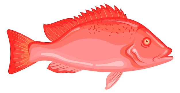 Ikona Okonia Morskiego Czerwona Ryba Skalna Kreskówka Sebastus