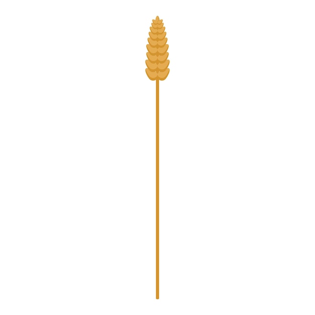 Plik wektorowy ikona rośliny pszenicy izometryczna ikona wektora rośliny pszenicy do projektowania stron internetowych izolowana na białym tle