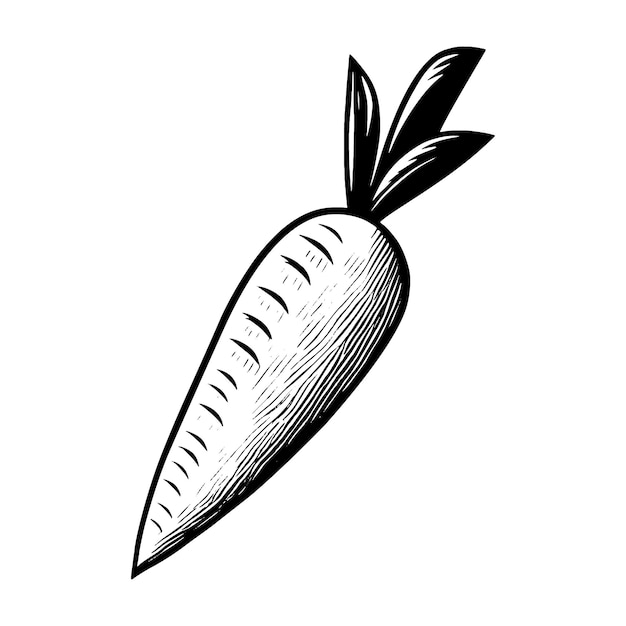 Ikona wektora marchwi izolowana na logo białej etykiety