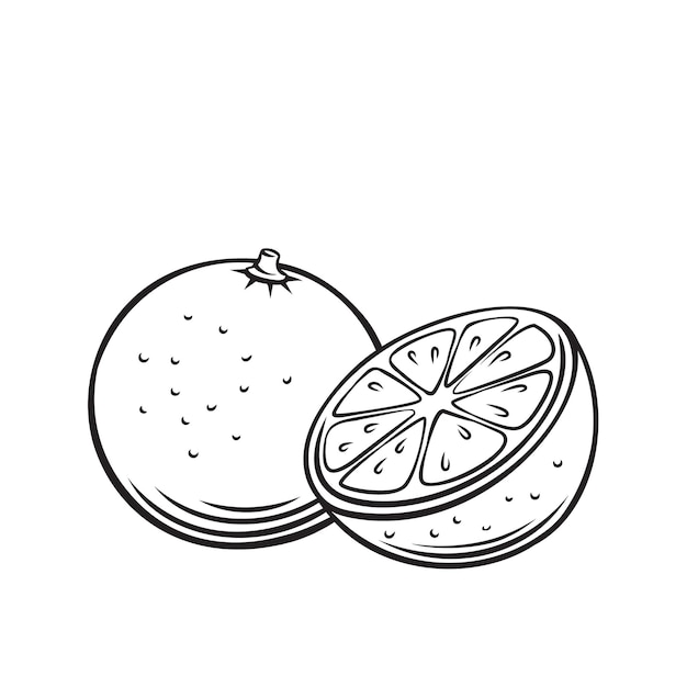 Ikonę Konturu Owoców Pomarańczy, Rysunek Monochromatyczne Ilustracji. Zdrowe Odżywianie, żywność Ekologiczna, Produkt Wegetariański.