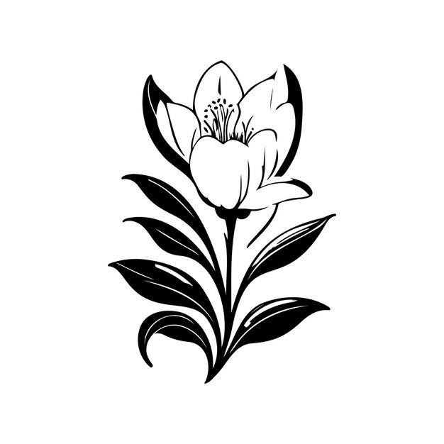 Ikonka Liliowa Rysunek Ręczny Czarny Kwiat Element Wektorowy Logo I Symbol