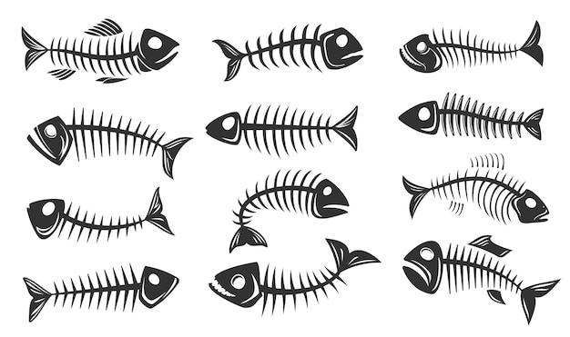 Ikony Kości Ryb, Sylwetki Szkieletów Ryb