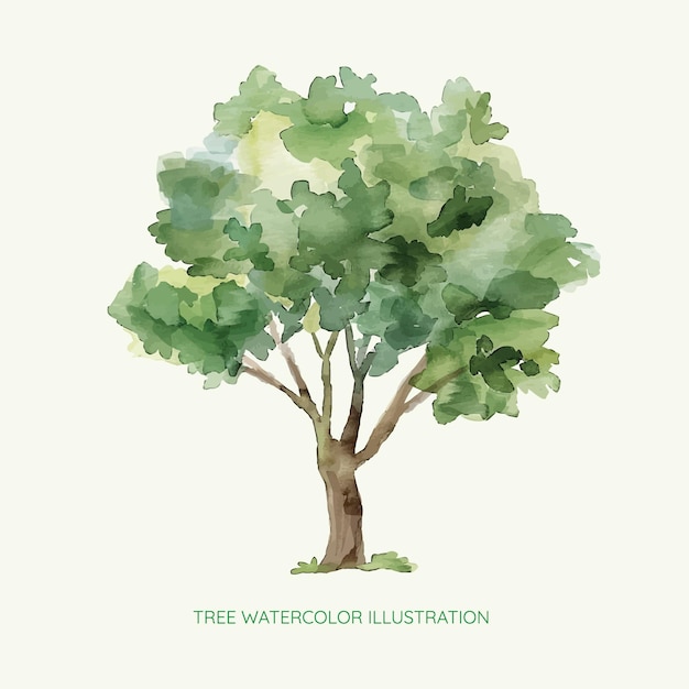 ilustracja akwarelowa drzewa