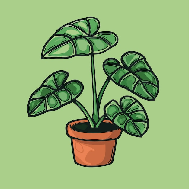ilustracja alocasia roślina doniczkowa uroczy płaski wektor odizolowany