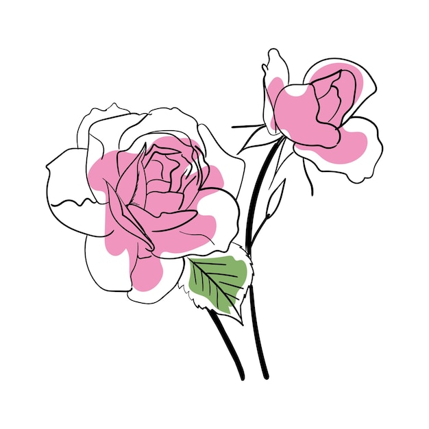 Plik wektorowy ilustracja artystyczna linii kwiatów róż