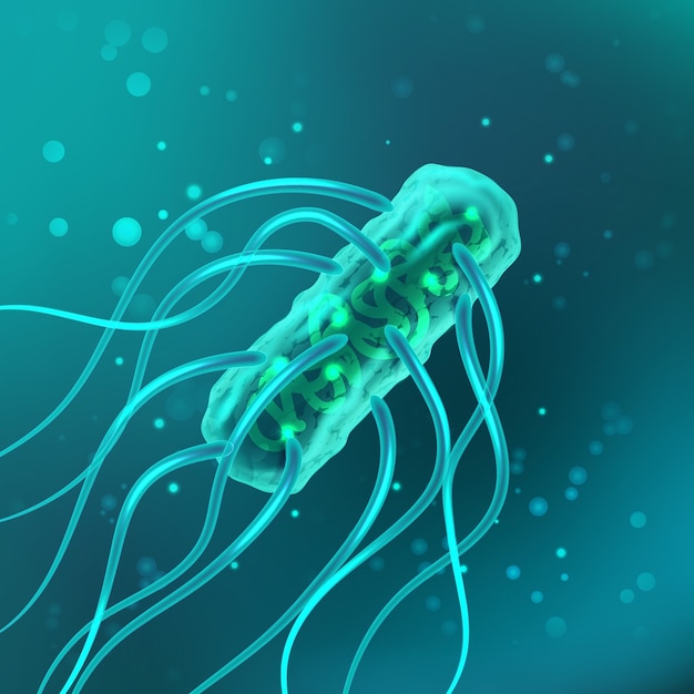 Ilustracja Bakterii Salmonella Typhosa