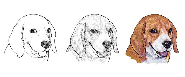 Plik wektorowy ilustracja beagle