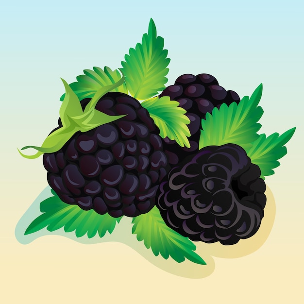 Ilustracja Blackberry