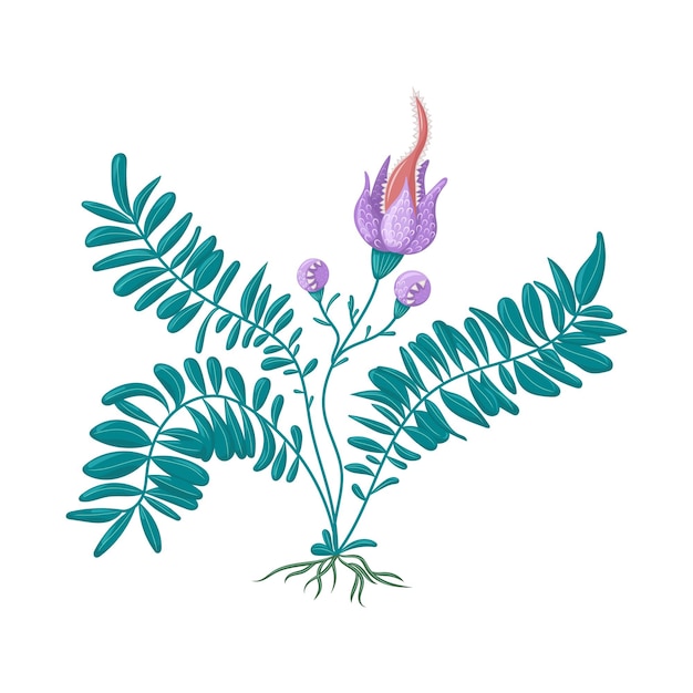 Plik wektorowy ilustracja botaniczna kwiatów paproci izolowana ilustracja wektorowa na halloween dla gier dla