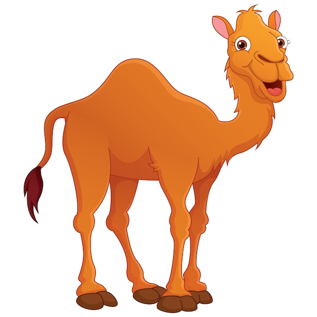 Ilustracja Cartoon Camel