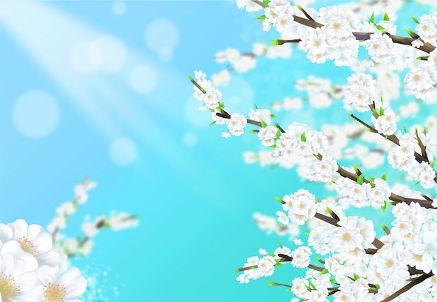 Ilustracja Czereśniowy Drzewo W Pełnym Kwiacie Pod Niebieskim Niebem Z światłem Słonecznym.