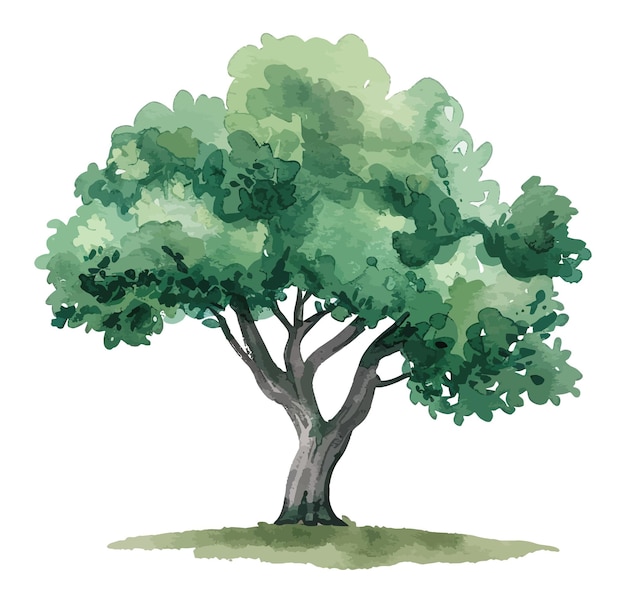 ilustracja drzewa akwarelowego