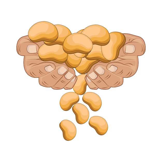 Plik wektorowy ilustracja fasoli