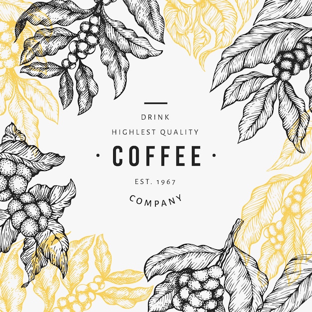 Plik wektorowy ilustracja gałąź drzewa kawy.