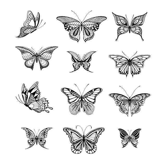 Plik wektorowy ilustracja graficzna motyle