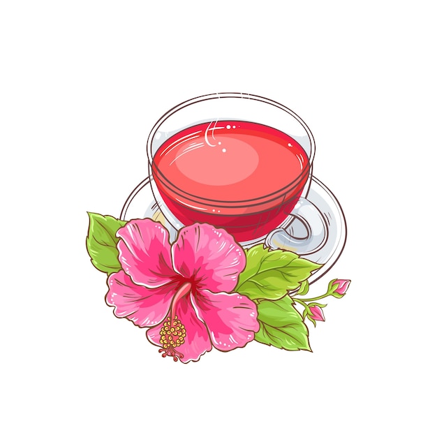 Plik wektorowy ilustracja herbaty hibiskusowej