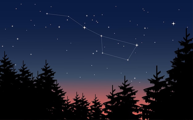 Ilustracja Krajobrazu Nocnego Nieba Z Gwiazdami I Konstelacją