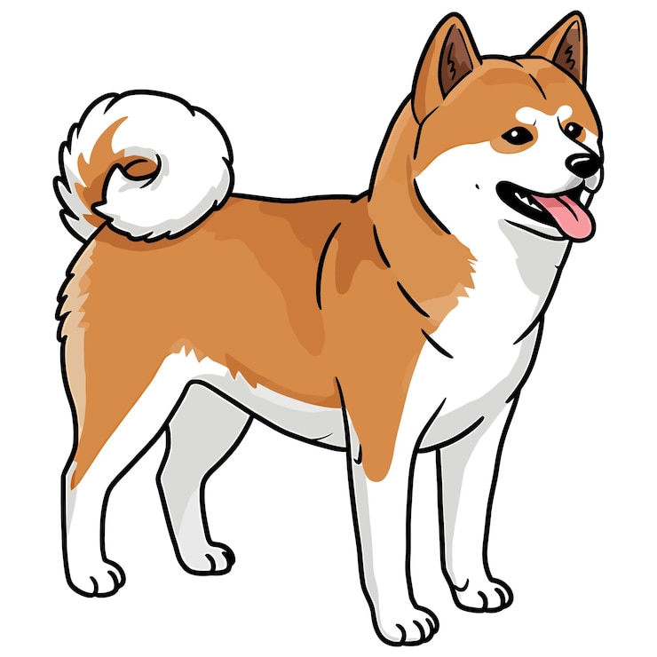 Wektor ilustracja kreskówki psa akita inu