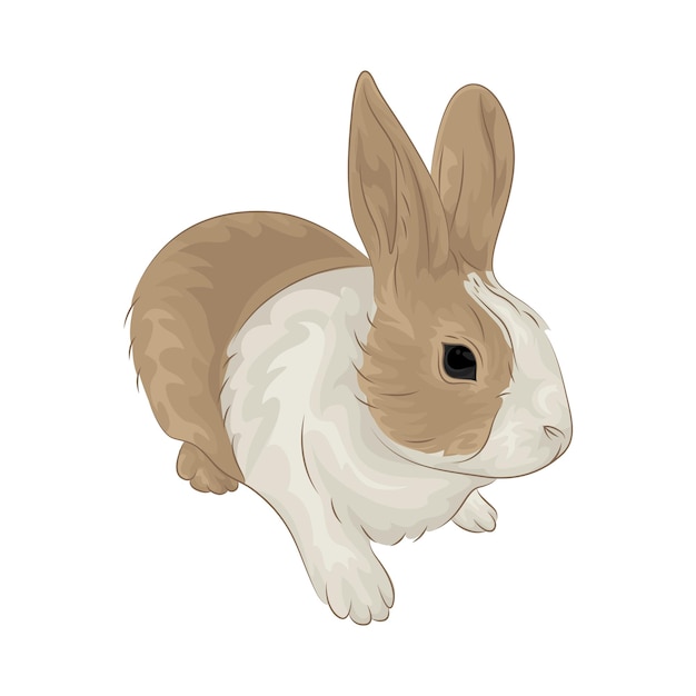 Ilustracja królika