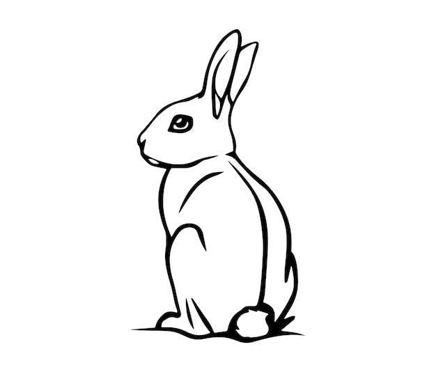 Ilustracja królika