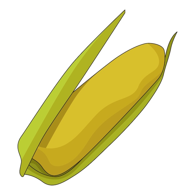 ilustracja kukurydzy