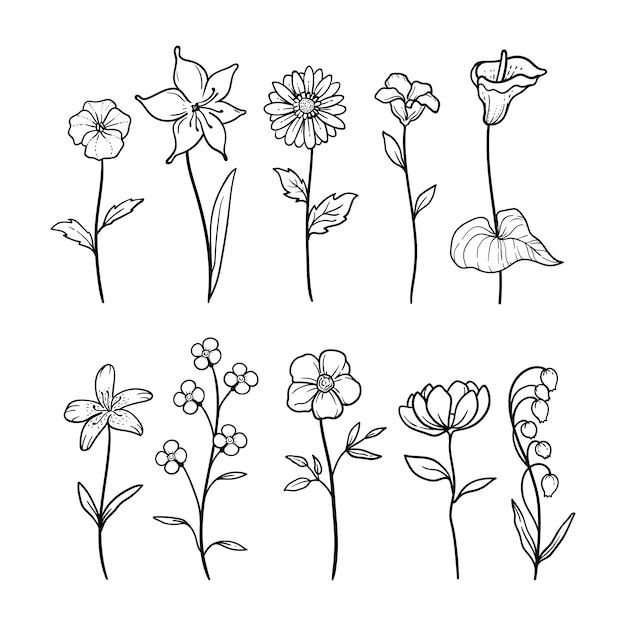 Ilustracja Kwiatowy Charakter