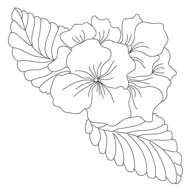 Ilustracja linii kwiaty pierwiosnka