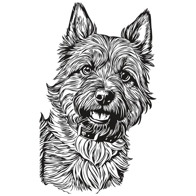 Plik wektorowy ilustracja linii psa border terrier czarno-biały szkic twarzy portret wektorowy realistyczny zwierzę rasy