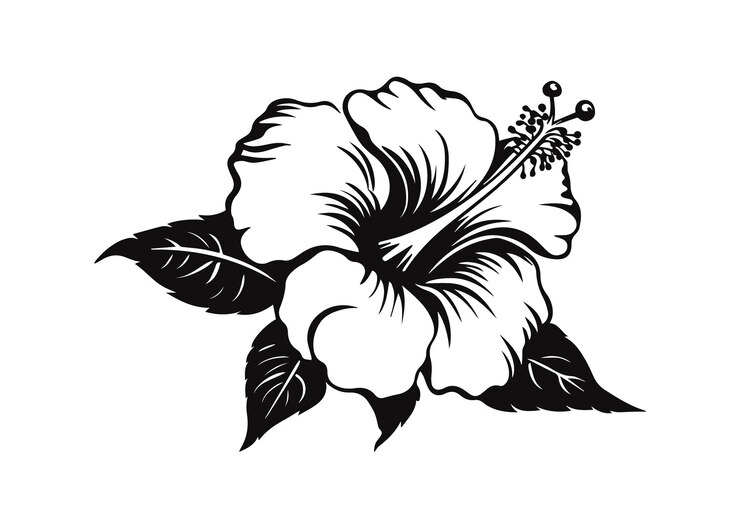 ilustracja linii wektorowej sylwetki hibiskusa