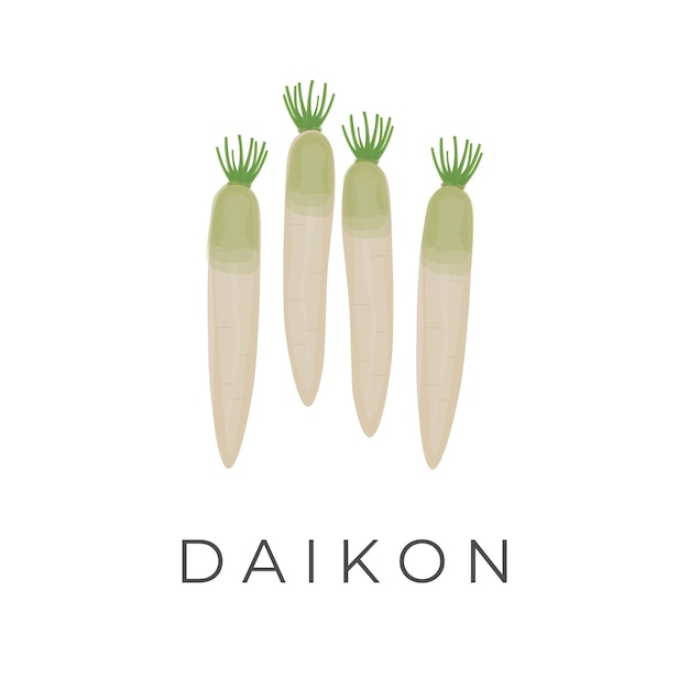 Ilustracja Logo Daikon Pęczek Rzodkiewki