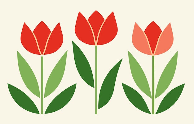Ilustracja o trzech czerwonych tulipanach