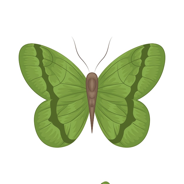 Plik wektorowy ilustracja owada.