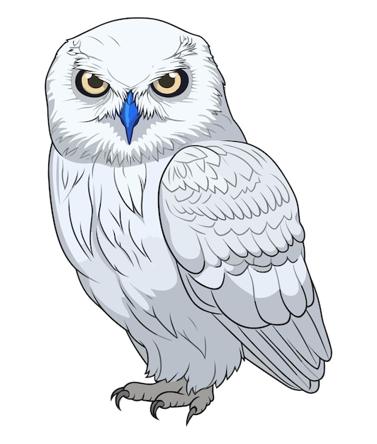 Plik wektorowy ilustracja owl black line art design