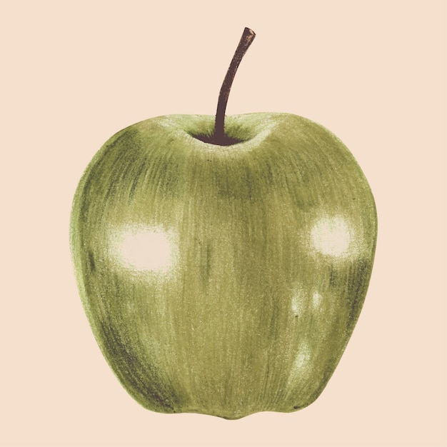 Ilustracja Owoców W Stylu Przypominającym Akwarele
