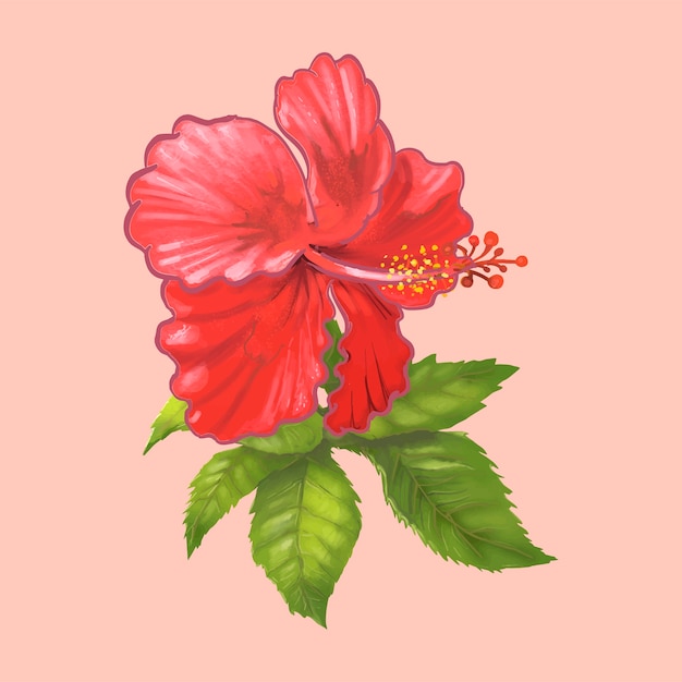 Plik wektorowy ilustracja piękny czerwony kwiat