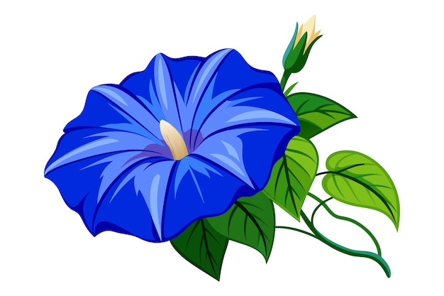 Plik wektorowy ilustracja płaskiego wektora kwiatu niebieskiej chwały porannej