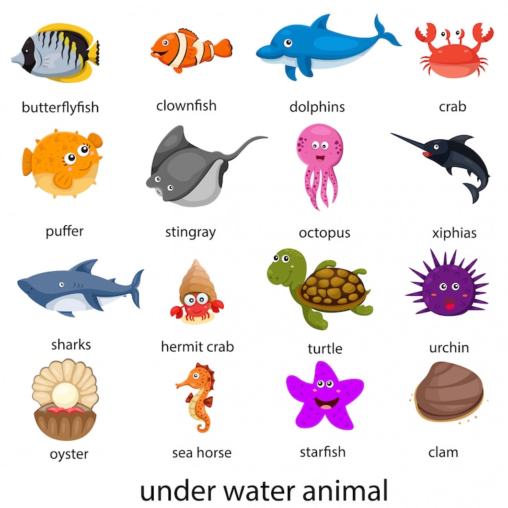 Wektor ilustracja podwodnego zwierzęcia