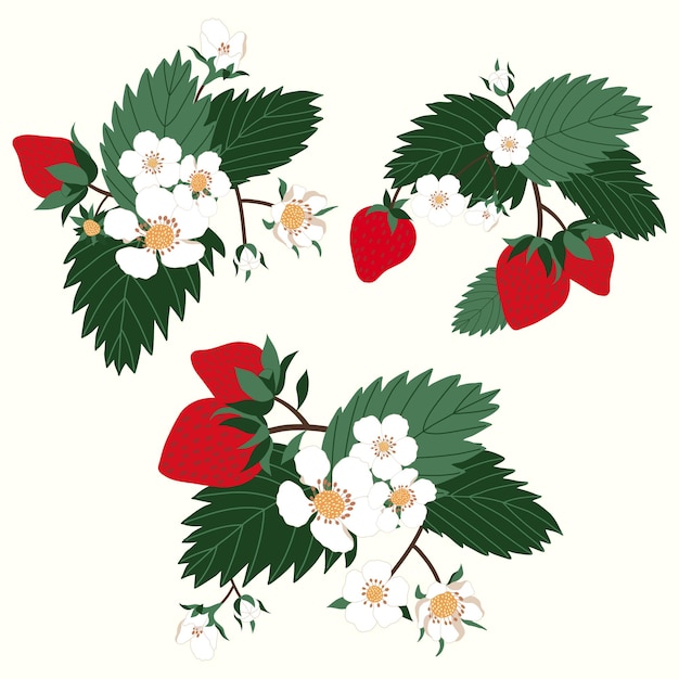Plik wektorowy ilustracja pola kwiatów truskawki