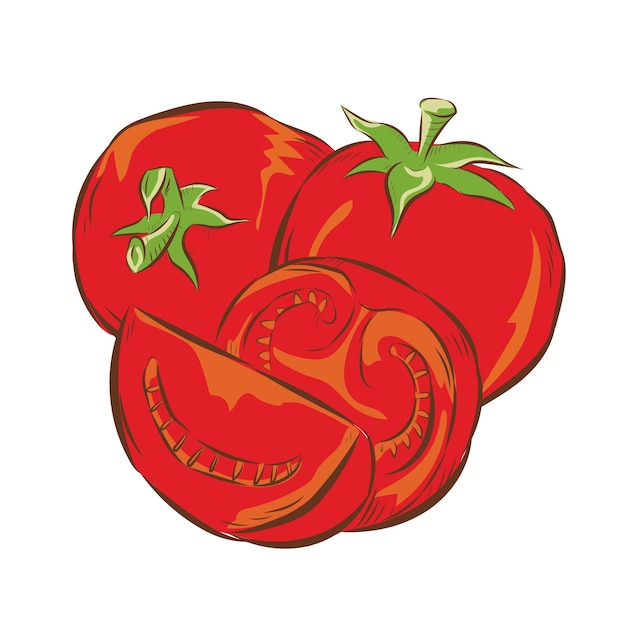 Plik wektorowy ilustracja pomidora