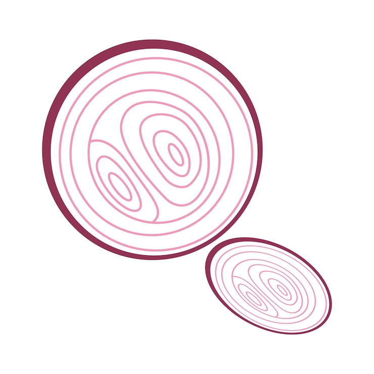 Wektor ilustracja projektu ikony logo cebuli