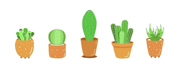 Ilustracja Przedstawiająca Kolekcję Kaktusowych Roślin Ozdobnych