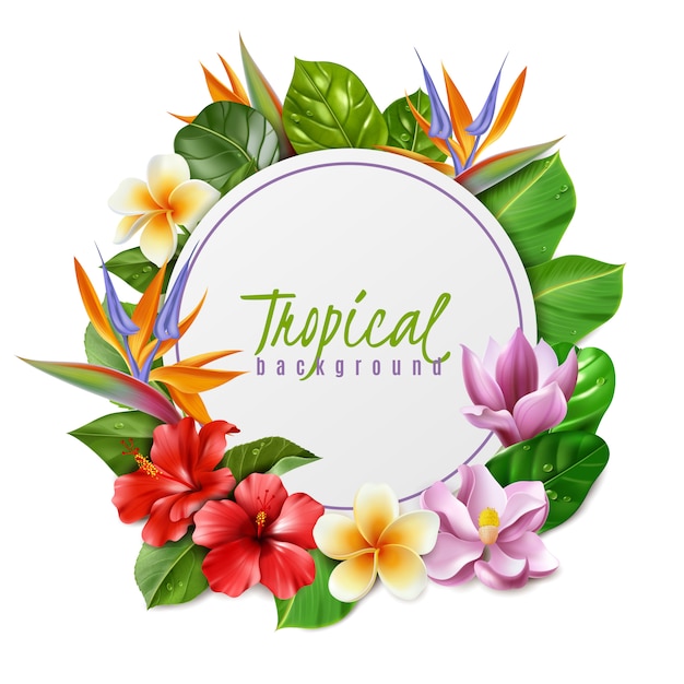 Ilustracja Ramki Złożona Z Tropikalnych Kwiatów I Liści Na Białym Tle Hibiskus Magnolia Strelitzia Plumeria I Egzotyczne Liście W Realistycznym Stylu