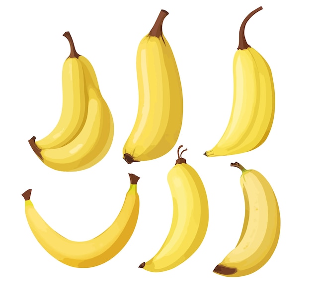 Plik wektorowy ilustracja rocznika banana