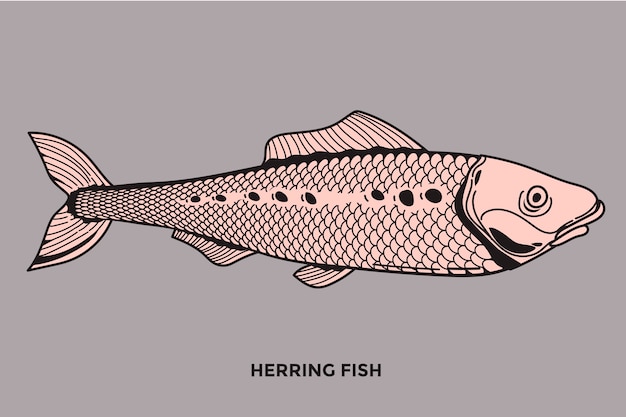 Ilustracja Ryby śledziowej Ze Zoptymalizowanym Skokiem