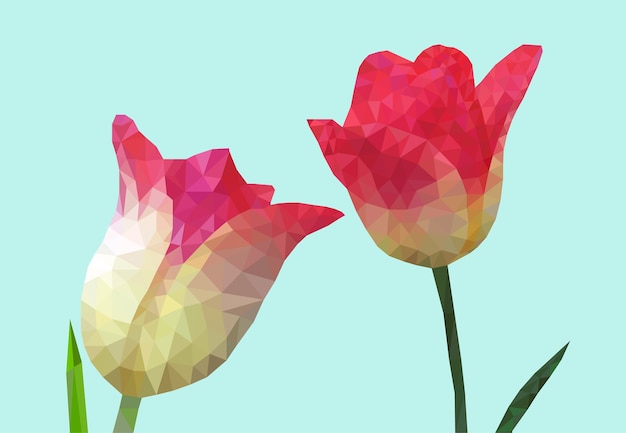 Ilustracja stylu Tulip low poly.