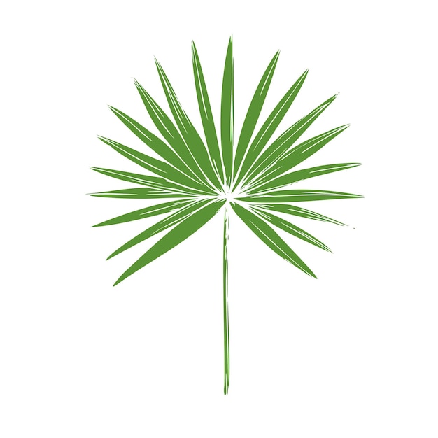 Plik wektorowy ilustracja tropikalnej listy palmowej na odosobnionym tle pięknie malowana ręcznie
