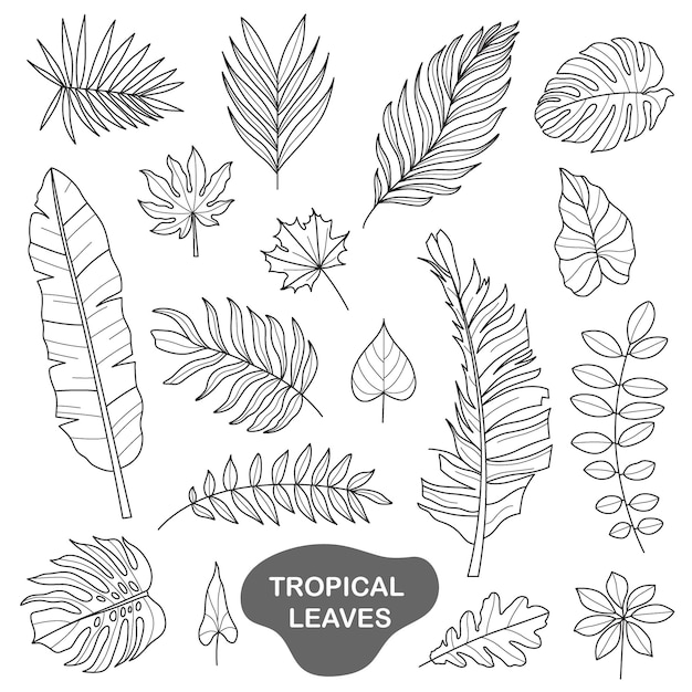 Plik wektorowy ilustracja tropikalnych liści