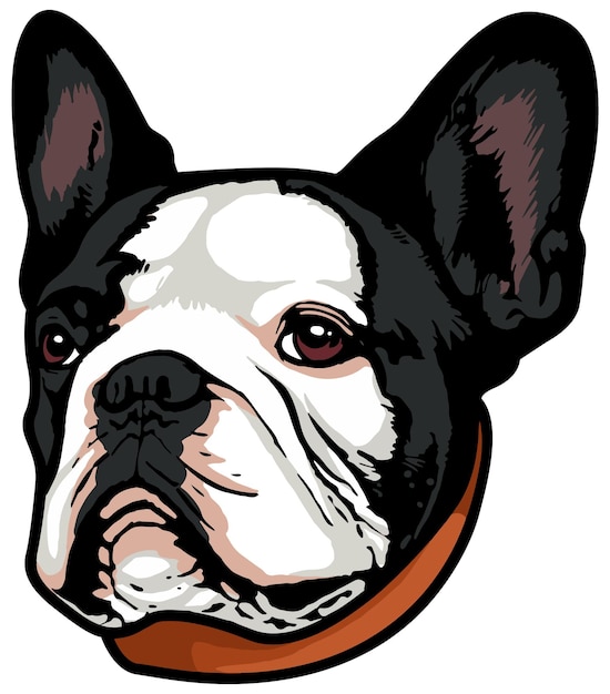 Ilustracja twarzy buldoga Wektor psa