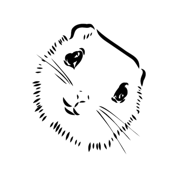 Ilustracja Wektor Ręcznie Rysować Gryzmoły Latającej Wiewiórki Lub Pteromyini Lub Petauristini Na Białym Tle